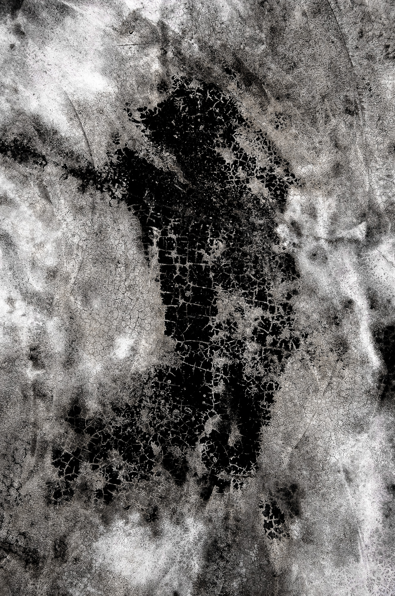 DSC 7589